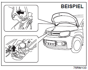 Suzuki Ignis. Motorhaube 